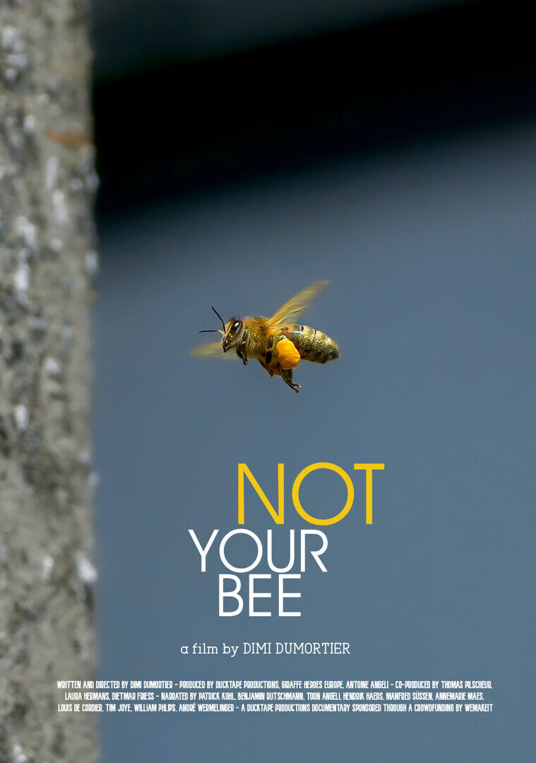 Filmvoorstelling: 'Not Your Bee'
