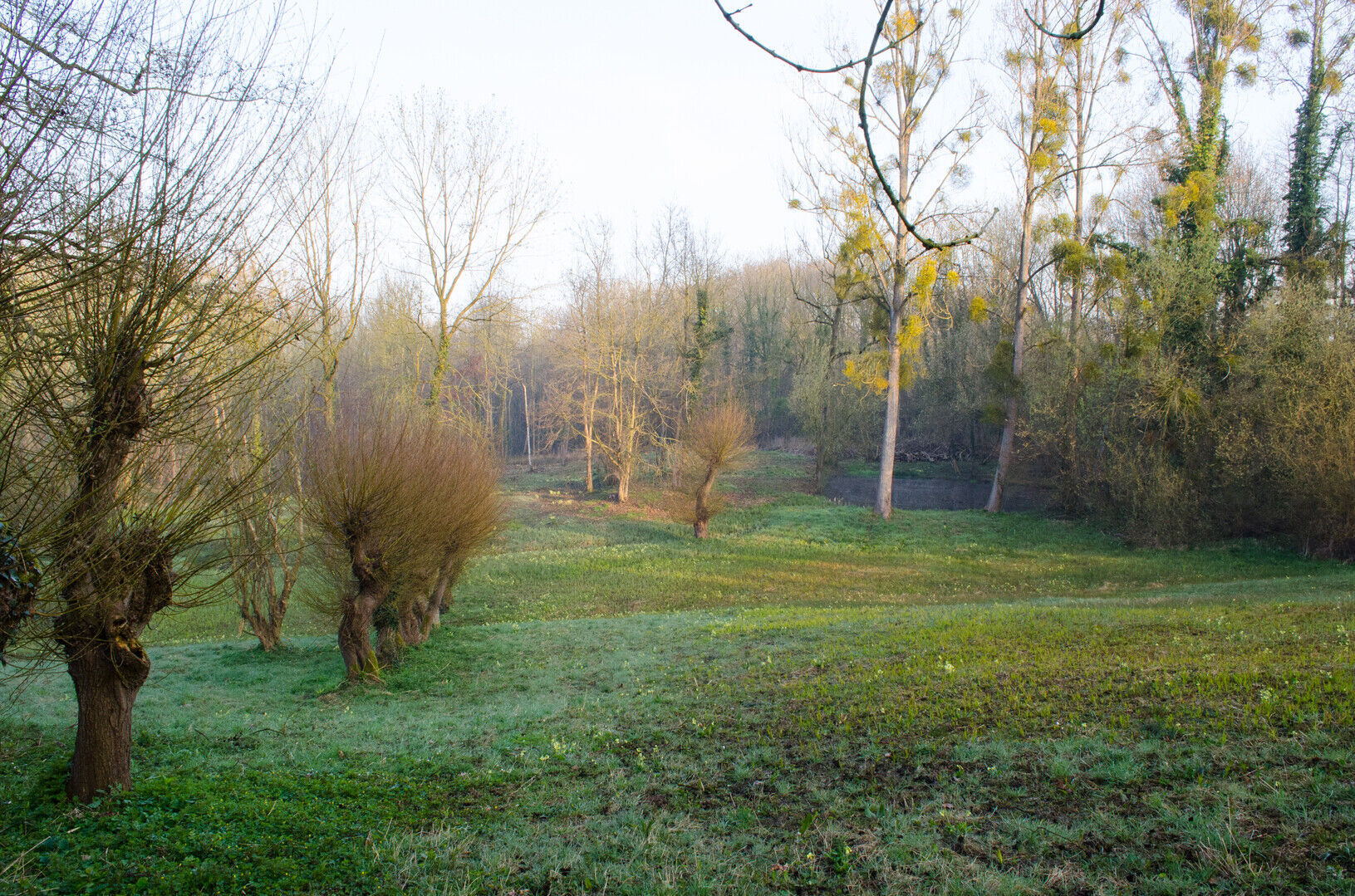 Trambus naar Maastricht