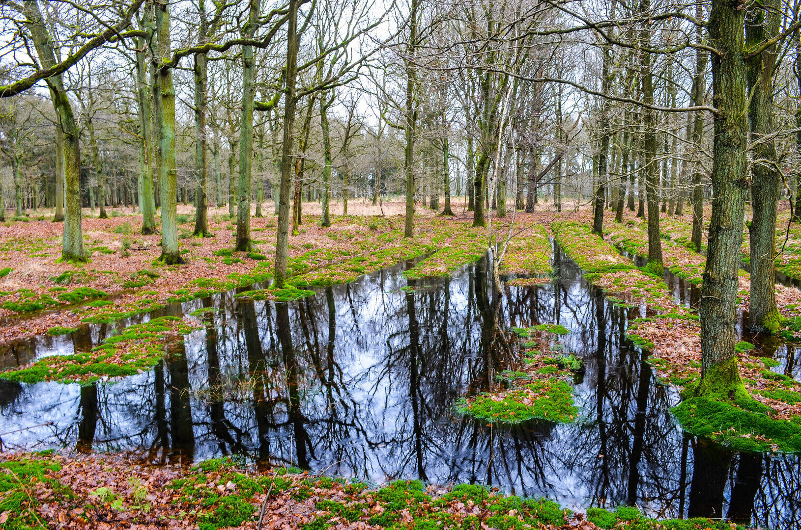 Infosessie: Invloed van grondwaterwinningen op beekvalleien