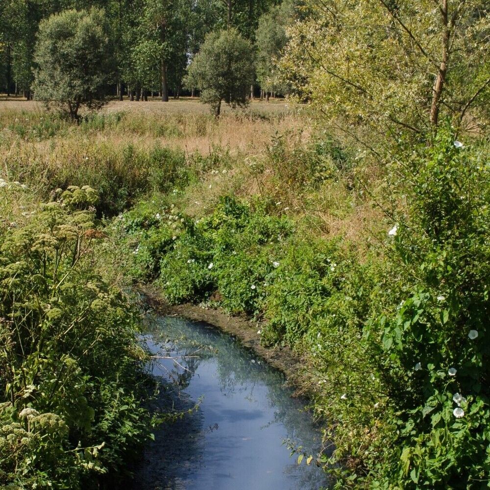 Milieuverenigingen in de bres voor gezonde Melsterbeek