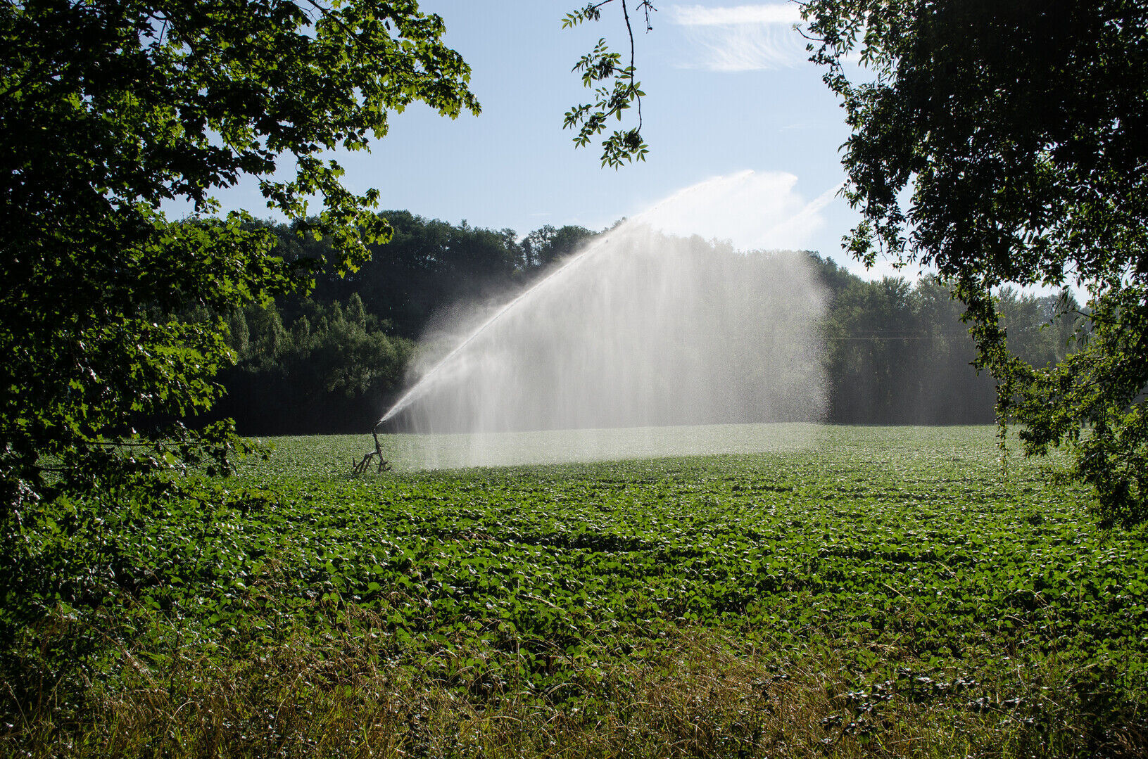 Studienamiddag: Hoe omgaan met grondwaterwinningen?