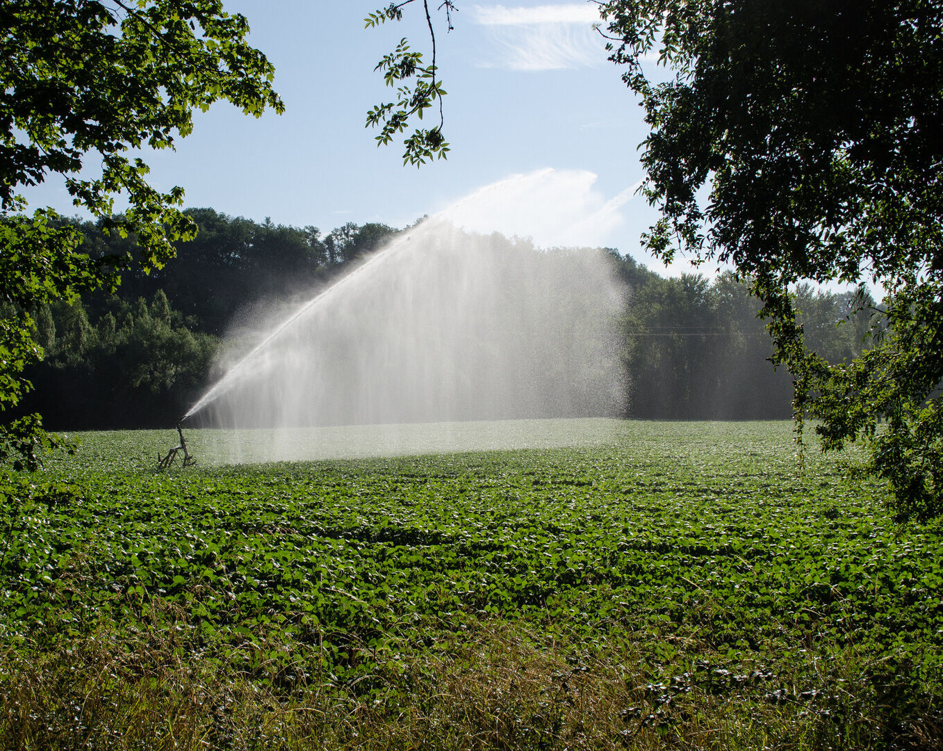 Grondwaterwinningen