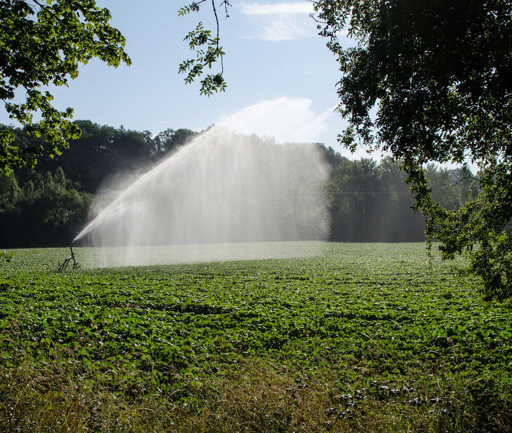 Hergebruik gezuiverd afvalwater