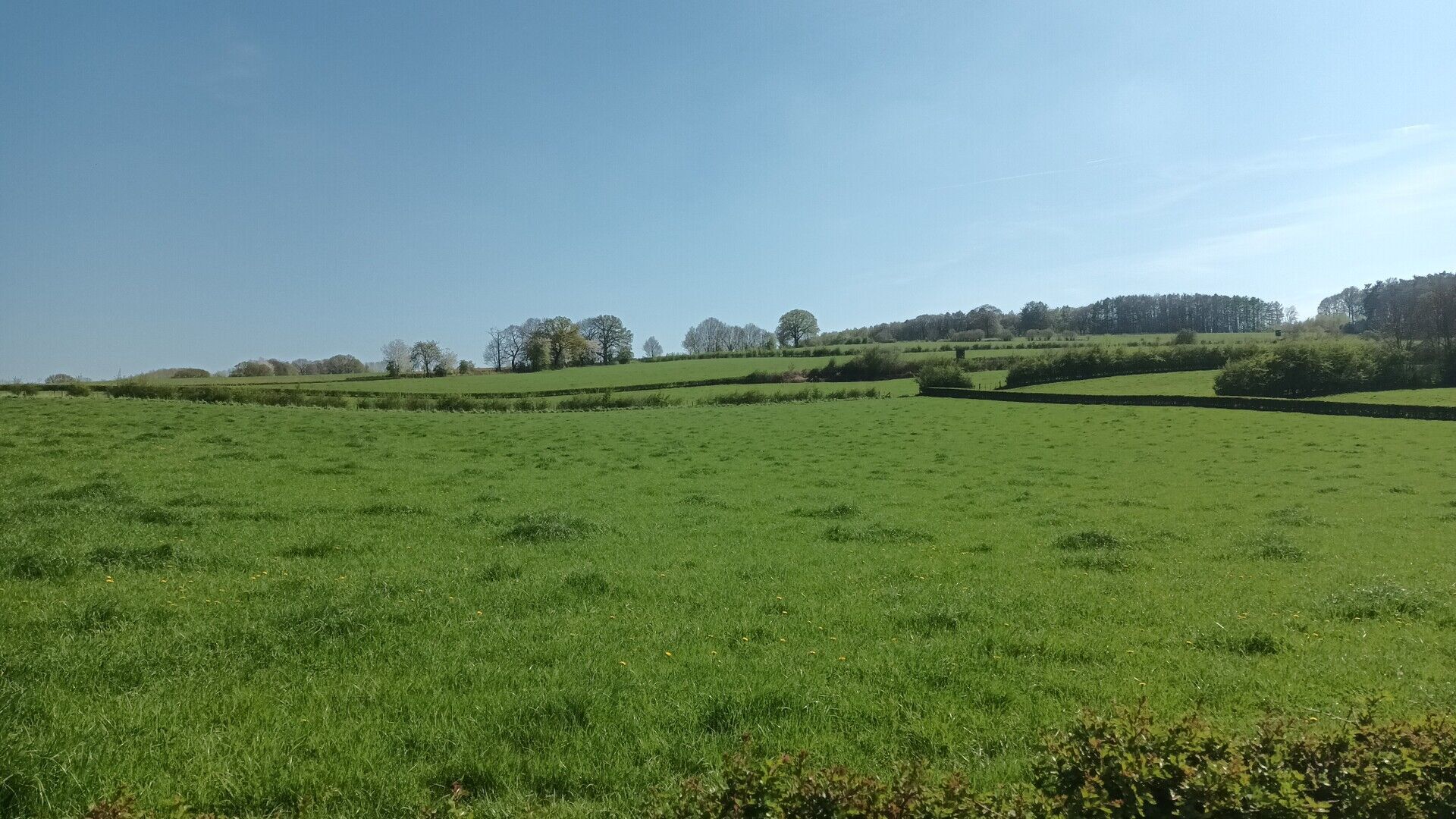 Limburgse Milieukoepel vzw in de bres voor Achelse landbouwgrond