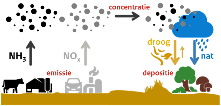 Lezing: Impact van stikstof op de natuur
