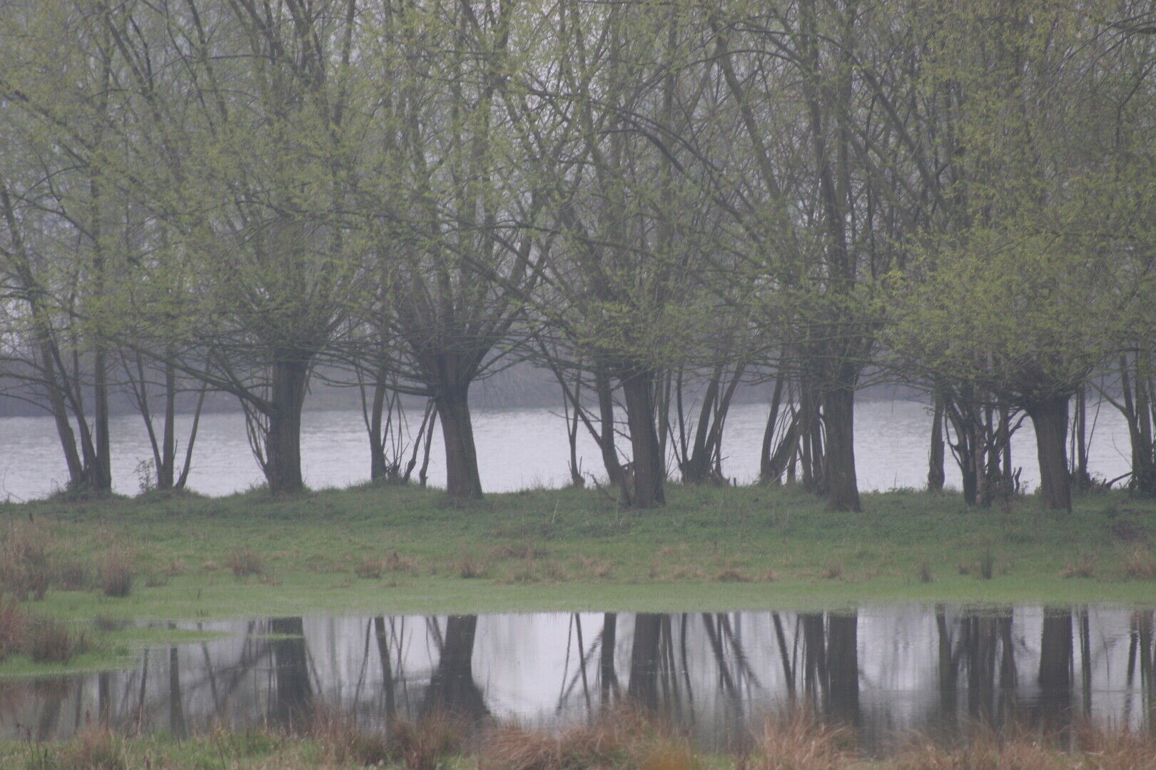 Wandeling: Waterrijk Wellen, gegidst door Davy Huygen