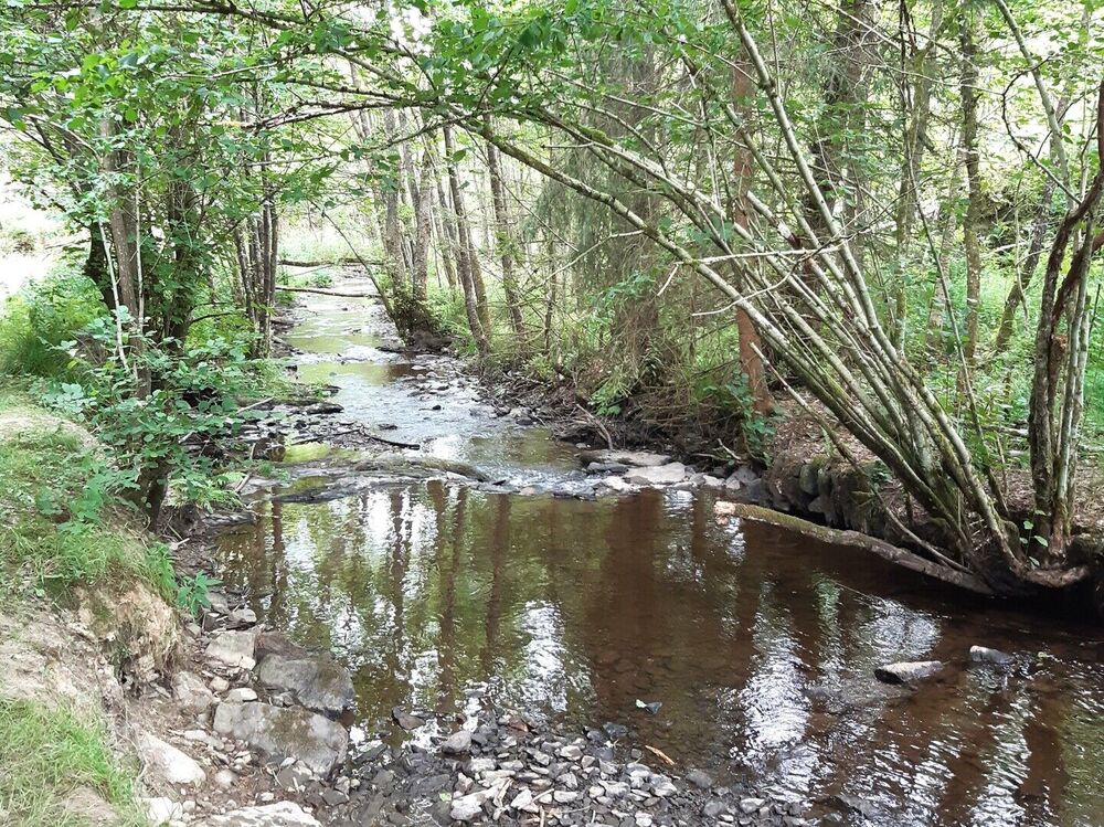 Infosessie: Invloed van grondwaterwinningen op beekvalleien