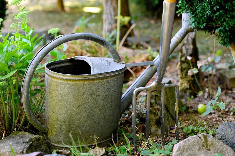 Online infosessie - Watervriendelijke tuin: ontharden en beplanten - GEANNULEERD