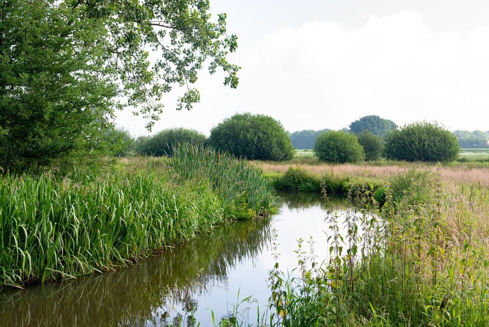 Organisaties luiden de noodklok voor de Dommel