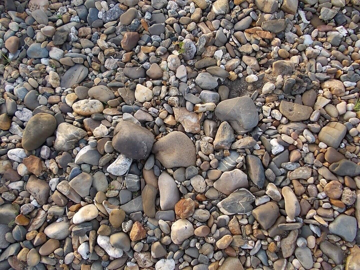 De grond van de zaak ...