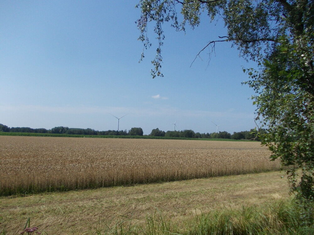 Het GLB, kwantiteit of kwaliteit?