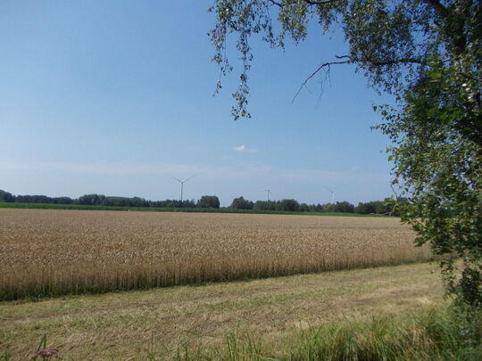 Home
