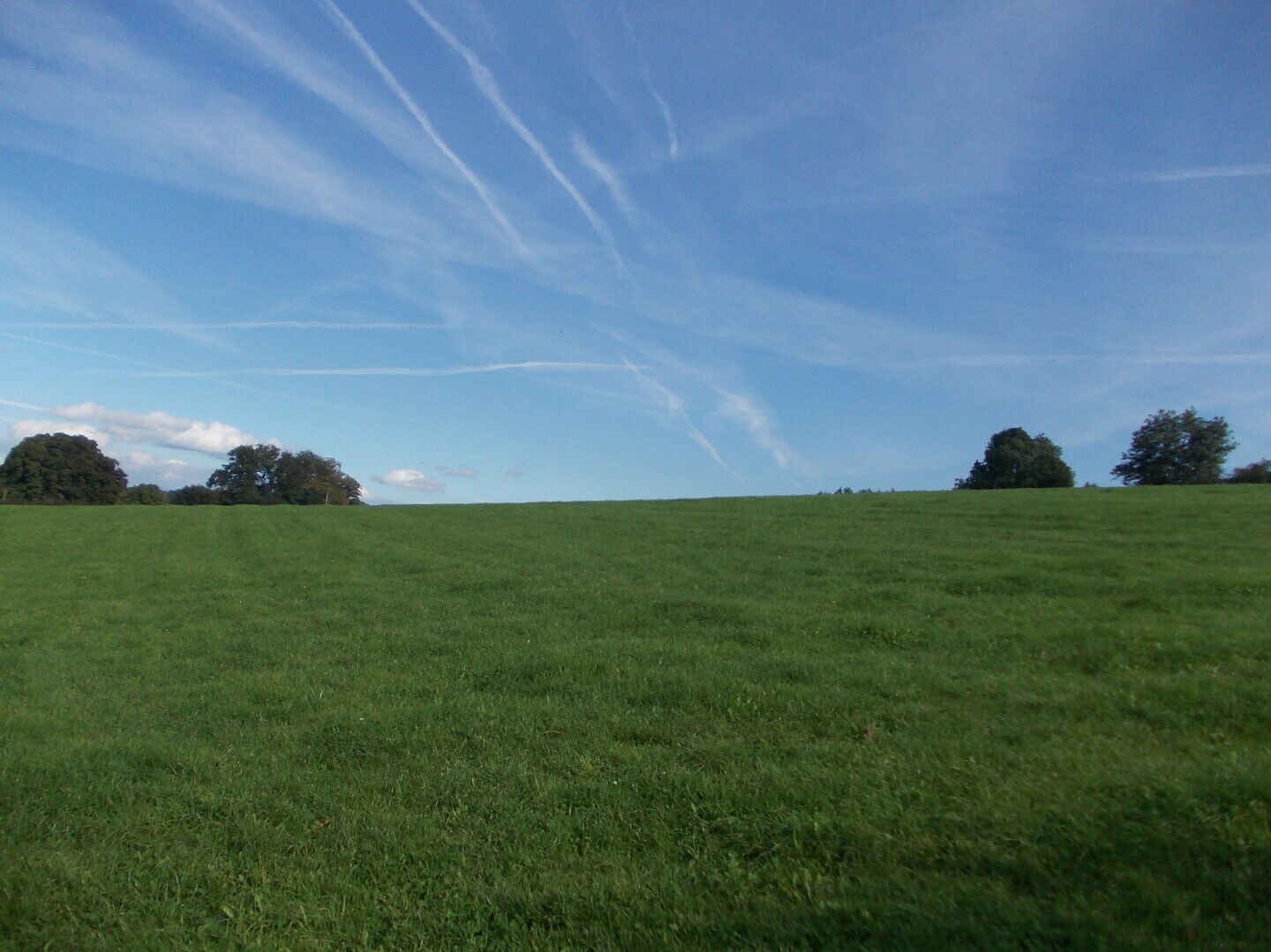Red de toekomst van de patrijs in Vlaanderen