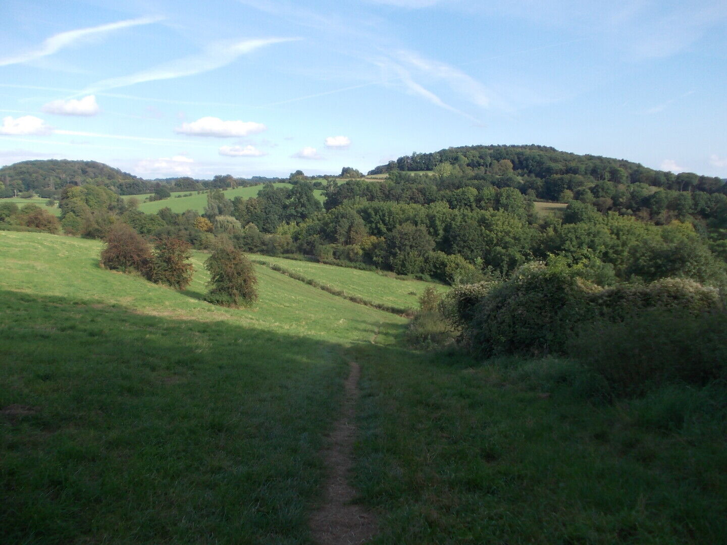 Varkens en stikstofreductie