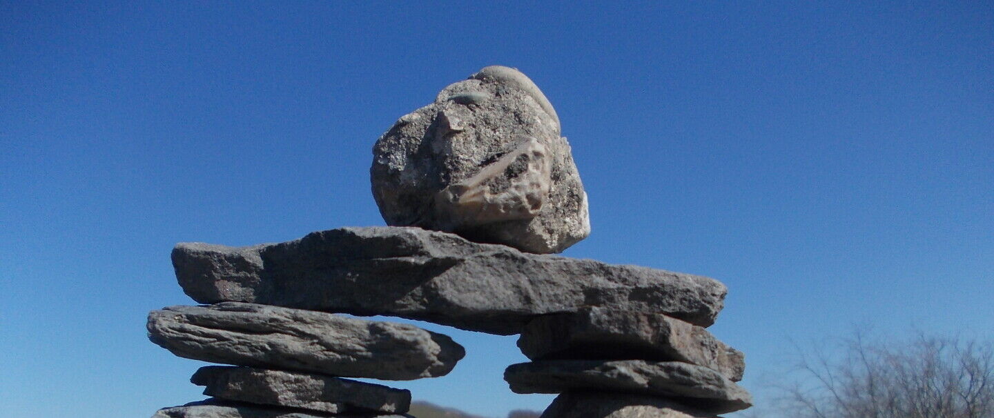 Themacafé Vrijwilligen en verenigingen na Coronatijd