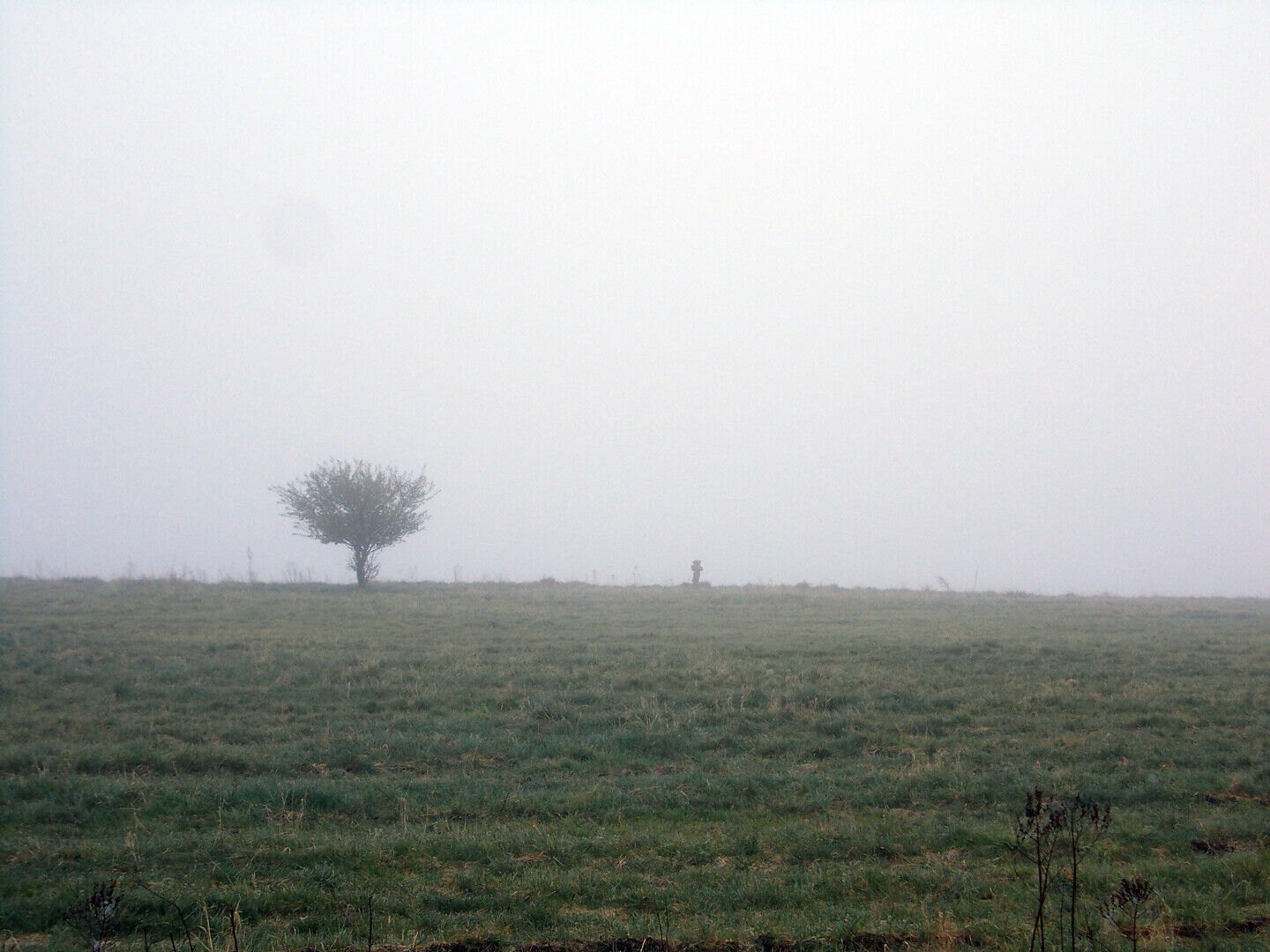 Filmvoorstelling: Rare, Creatures of the Photo Ark