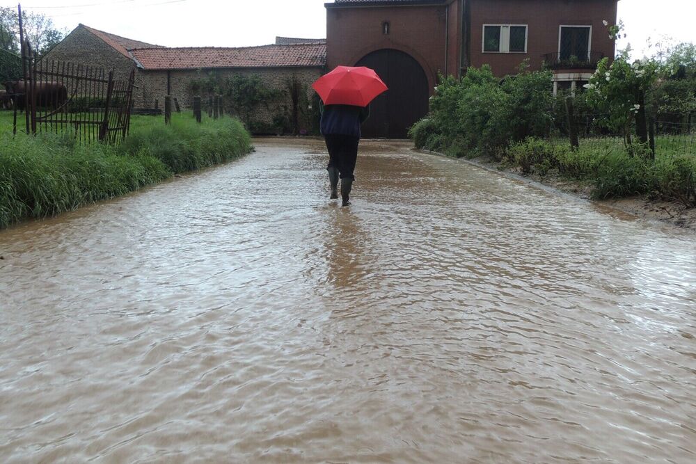 Voorjaar 2021, Nagtegals Danny, Leefmilieu Tongeren