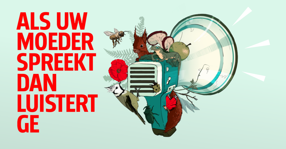 Als uw moeder spreekt dan luistert ge - Open brief