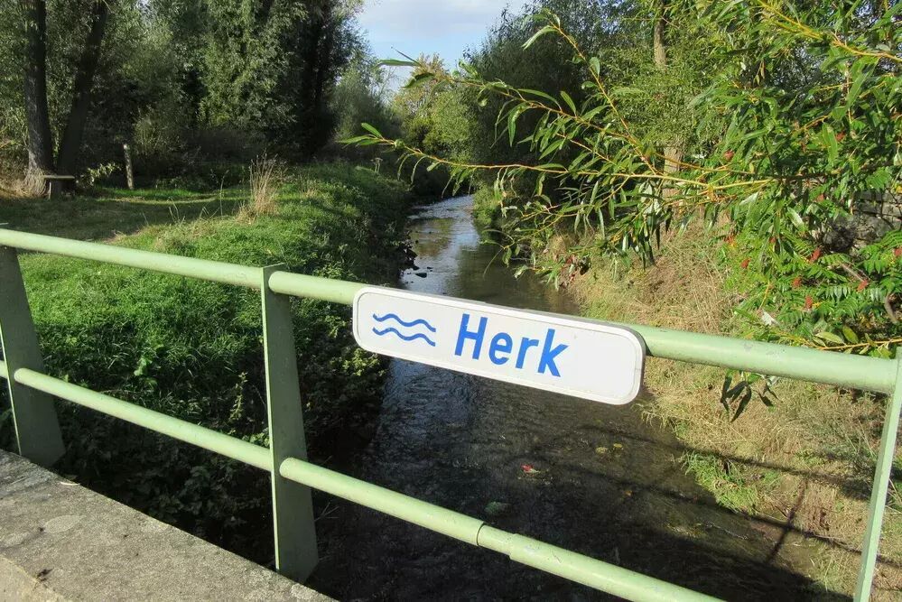 Wandeling: Waterrijk Wellen, gegidst door Davy Huygen