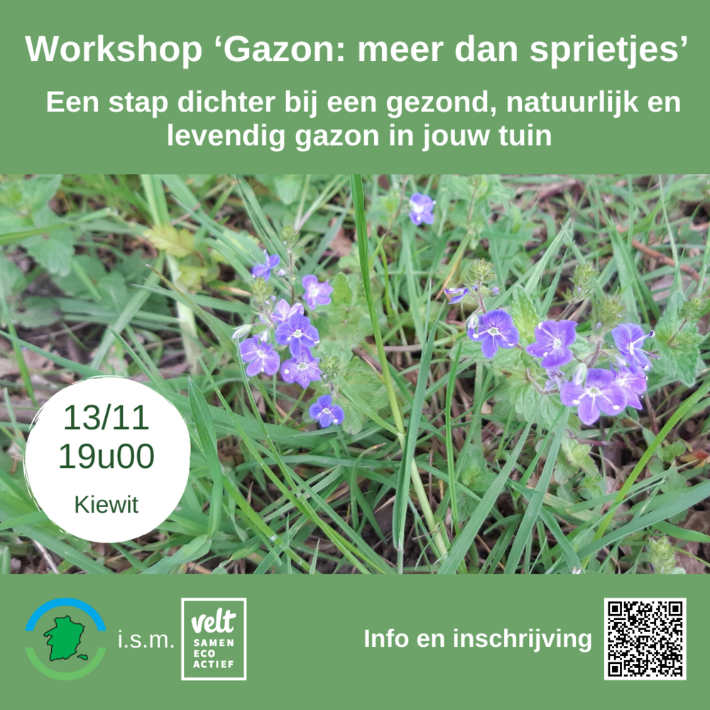Workshop - Gazon: meer dan sprietjes - Geannuleerd