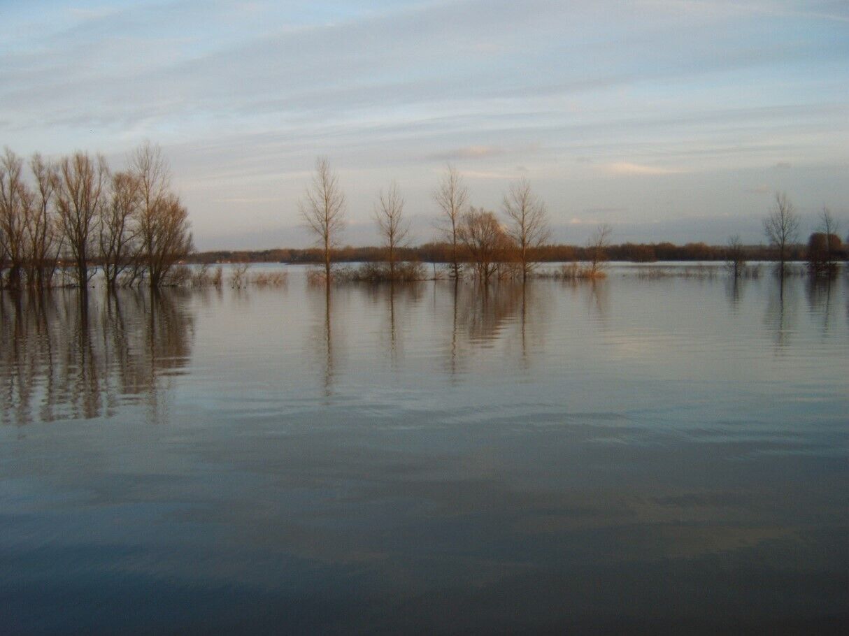 Veilig en aangenaam wonen