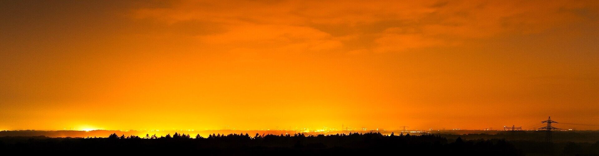 Online lezing: De effecten van lichtvervuiling op de nachtzwaluw