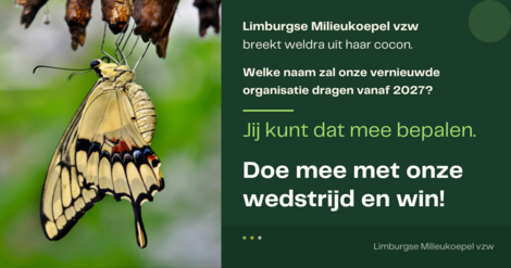 Nieuws
